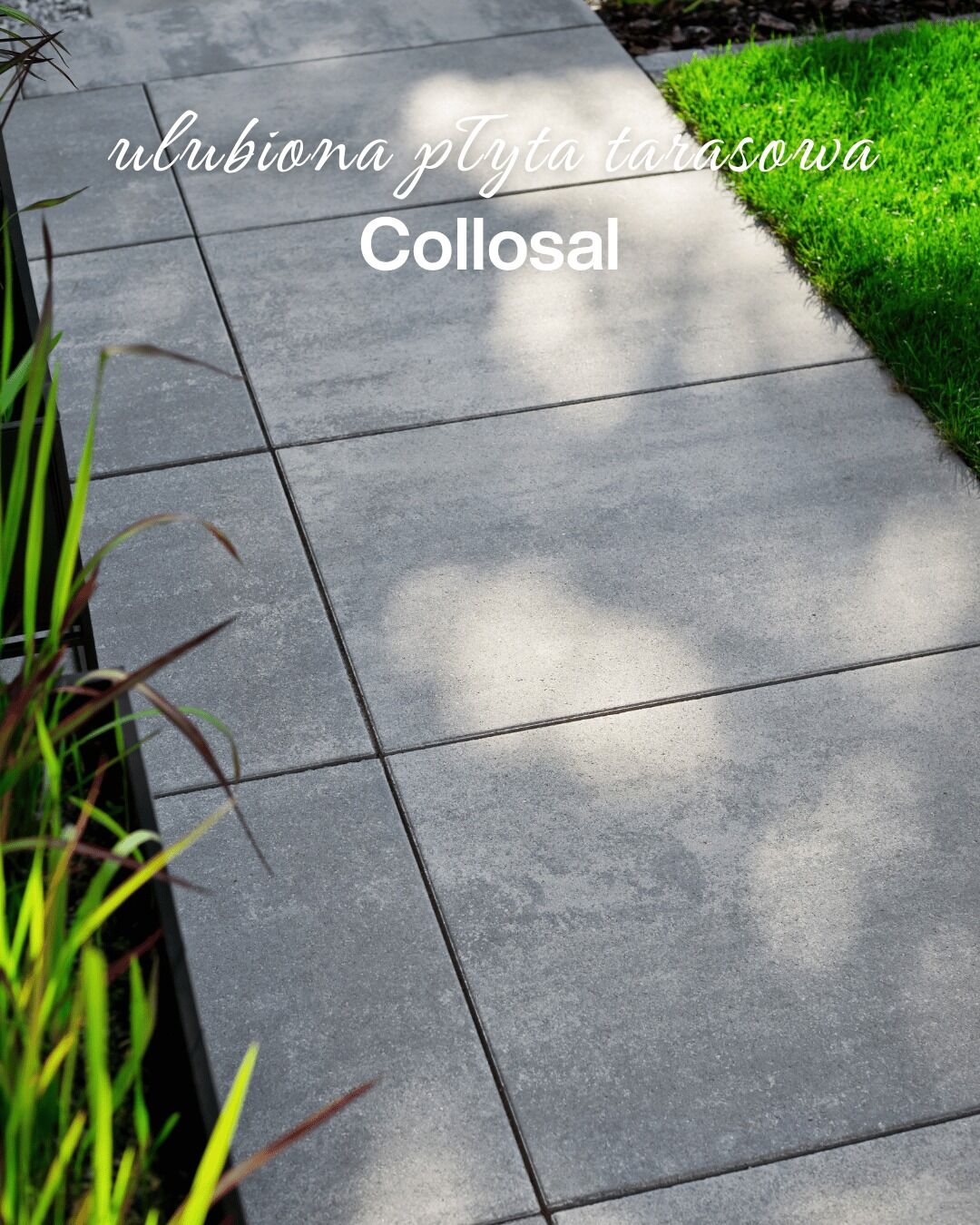 💚 Taras, który pokochali klienci Niektóre produkty&hellip;